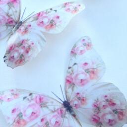 Shabby Chic Butterfly Wall Decor White & Pink Rose 3D Butterflies - Set Of 4 - thumbnail 4