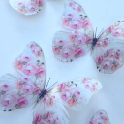 Shabby Chic Butterfly Wall Decor White & Pink Rose 3D Butterflies - Set Of 4 - thumbnail 2