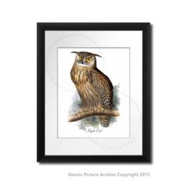 Owl Wall Decor Set Of 12 Prints, Art, Nursery Decor, Brown, Orange, Living Room - thumbnail 3