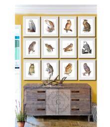 Owl Wall Decor Set Of 12 Prints, Art, Nursery Decor, Brown, Orange, Living Room - thumbnail 1