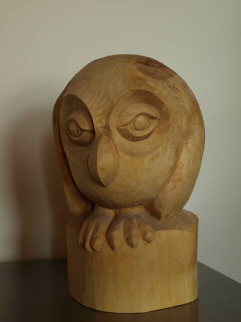 Owl - image 1