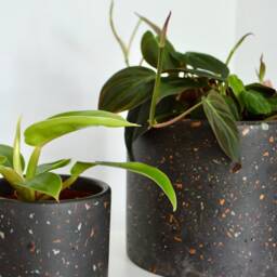 Charcoal Mixed Colorful Terrazzo Chip Planter, Small, Medium, Large Minimal & Modern - thumbnail 2