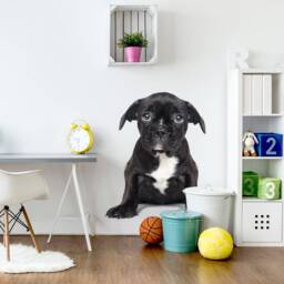 Wall Decor Animal With Dog, Nursery Wall Art, Kids Room Decals, Childrens Wallpaper - thumbnail 1