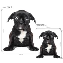 Wall Decor Animal With Dog, Nursery Wall Art, Kids Room Decals, Childrens Wallpaper - thumbnail 2