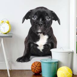 Wall Decor Animal With Dog, Nursery Wall Art, Kids Room Decals, Childrens Wallpaper - thumbnail 3
