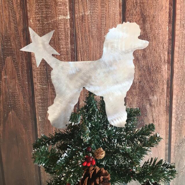 Poodle, Standard Miniature, Dog Tree Topper, Decoration, Wreath Christmas, Stars, Yard Stake Or Wall Hanging - image 1