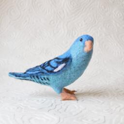 "Mr. Blue Lineolated ""Linnie"