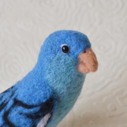 "Mr. Blue Lineolated ""Linnie" - thumbnail 3