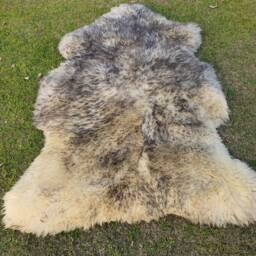 Genuine Grey Sheepskin Rug - Special Lamb Fur Rugs Long Hair Fluffy - thumbnail 4