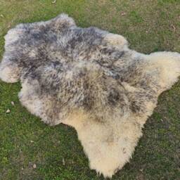 Genuine Grey Sheepskin Rug - Special Lamb Fur Rugs Long Hair Fluffy - thumbnail 3