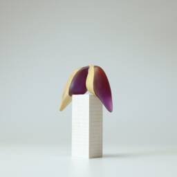 Duo Love Birds - 139 - thumbnail 2