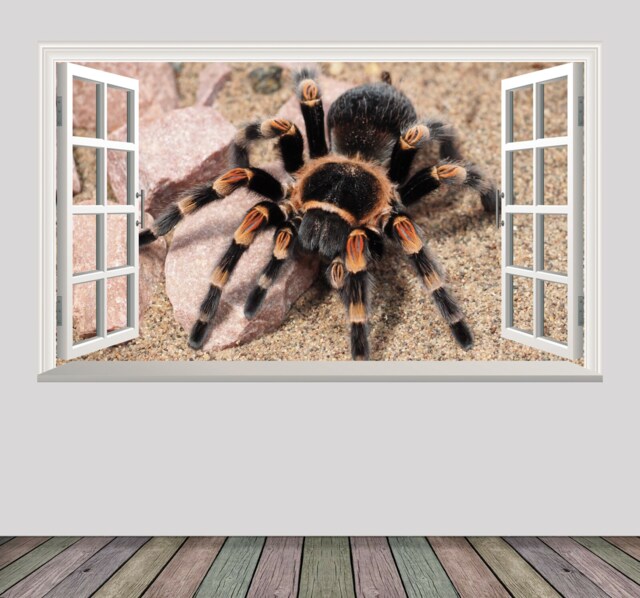 Scary Tarantula Spider Arachnid Nature Decal Adhesive Vinyl Sticker Magic Window Design Poster Wall Various Size Options