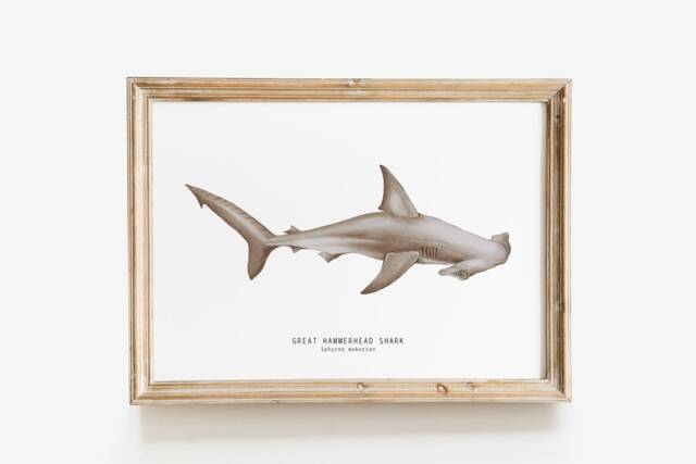 Great Hammerhead Shark Watercolor Art Print - Oceanic Theme Watercolour Painting Home Living Room D??cor Sphyrna Mokarran Gift - image 1