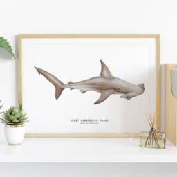 Great Hammerhead Shark Watercolor Art Print - Oceanic Theme Watercolour Painting Home Living Room D??cor Sphyrna Mokarran Gift - thumbnail 2