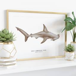 Great Hammerhead Shark Watercolor Art Print - Oceanic Theme Watercolour Painting Home Living Room D??cor Sphyrna Mokarran Gift - thumbnail 3