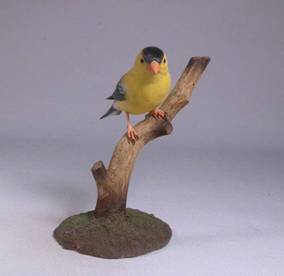 American Goldfinch On Wooden Branch Base