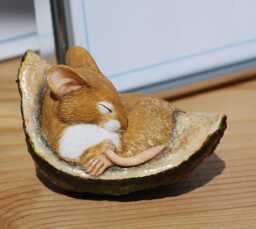 Realistic Mouse Figurine Sleeping in Conker Shell - Fine Detail Handmade & Painted - thumbnail 1