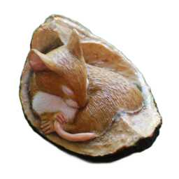 Realistic Mouse Figurine Sleeping in Conker Shell, Fine Handcrafted Detail, Size 1 3/4In High - thumbnail 4