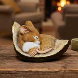 Realistic Mouse Figurine Sleeping in Conker Shell, Fine Handcrafted Detail, Size 1 3/4In High