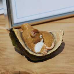 Realistic Mouse Figurine Sleeping in Conker Shell - Fine Detail Handmade & Painted - thumbnail 3