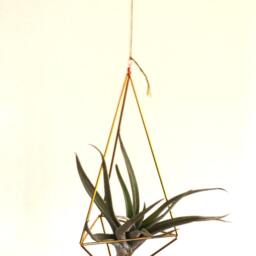 Air Plant Holder Diy Kit Mobile Himmeli, Hanging Planter, Nature Lover Gift Housewarming, Gifts For Coworkers, Best Selling Item Handmade - thumbnail 3