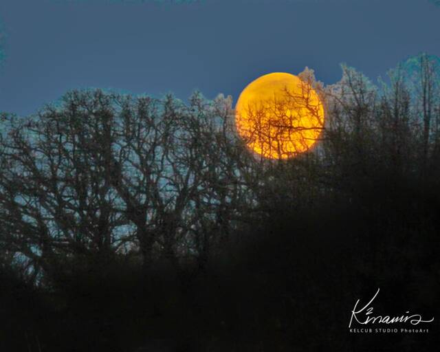 Super Moon Art Print Autumn Moonrise Photo By Kelcub - image 1