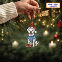 Custom Name Sitting Dogo Argentino Dog With Santa Hat Christmas Lights Ornament, Tree Hanging Decor, Flat 2D Ornament - thumbnail 3