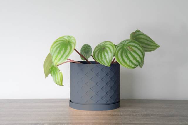 "Wallflower Planter With Drainage & Saucer in Stone Blue, Unique 3D-Printed Plant Pot, Small To Large Sizes 4"" 5"" 6"" 7"" 8" - image 1