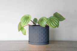 "Wallflower Planter With Drainage & Saucer in Stone Blue, Unique 3D-Printed Plant Pot, Small To Large Sizes 4"" 5"" 6"" 7"" 8" - thumbnail 1