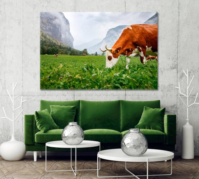 Traditional Swiss Cows Wall Art Print Switzerland Canvas Decor