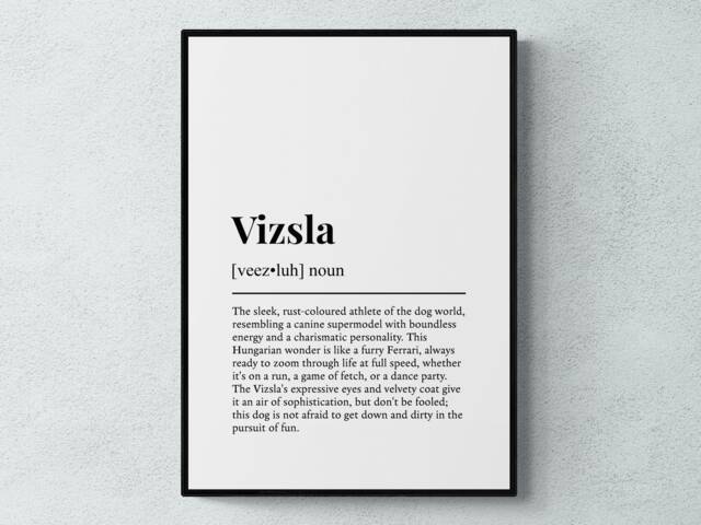 Vizsla Funny Definition Dog Wall Art Print - image 1