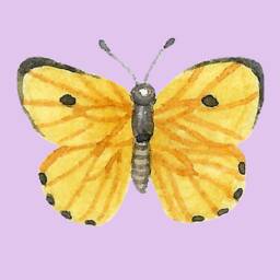 Physical Yellow Butterfly Art Print Home Decor Digital Download Watercolor Nursery Office Feminine Girls Bedroom Purple Butterfly Art - thumbnail 2