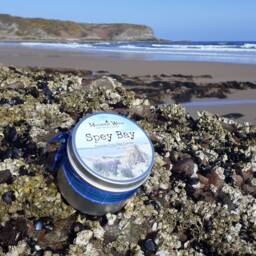 Spey Bay Vegan Soy Candle Scottish Sea, Floral Gorse & Driftwood - thumbnail 2