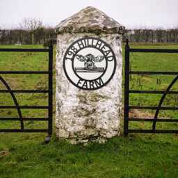 Calf Head Metal Farm Sign, Custom Cattle Gate Livestock Wall Decor, Rustic Farmhouse Farmer Gift - thumbnail 2