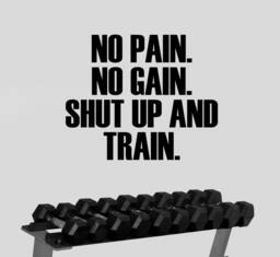 No Pain Gain Wall Decal Vinyl Sticker Gym Poster Motivational Quote Crossfit Success Workout Inspirational Sports Fitness Decor Fgm16 - thumbnail 1
