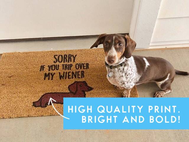 Custom Dog Door Mat - Decorative Dachshund Doormat Mom Gift Mum Wiener Lover Gifts Sausage - image 1