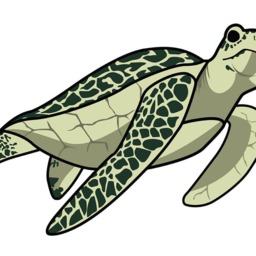 Fish & Turtle Wall Decal Pack - thumbnail 3