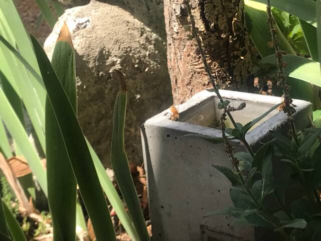 Bee Bath Garden Water Feature Recycled Glass & Concrete By Jjl, Succulent Planter, Also A Concrete Candle Holder - image 1