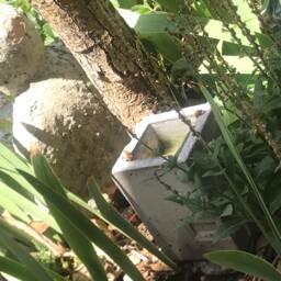 Bee Bath Garden Water Feature Recycled Glass & Concrete By Jjl, Succulent Planter, Also A Concrete Candle Holder - thumbnail 3