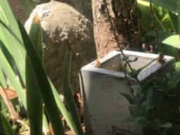 Bee Bath Garden Water Feature Recycled Glass & Concrete By Jjl, Succulent Planter, Also A Concrete Candle Holder