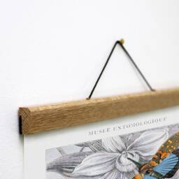 Entomology Canvas Print With Oak Magnetic Hanger, Vintage Insect Art - thumbnail 2