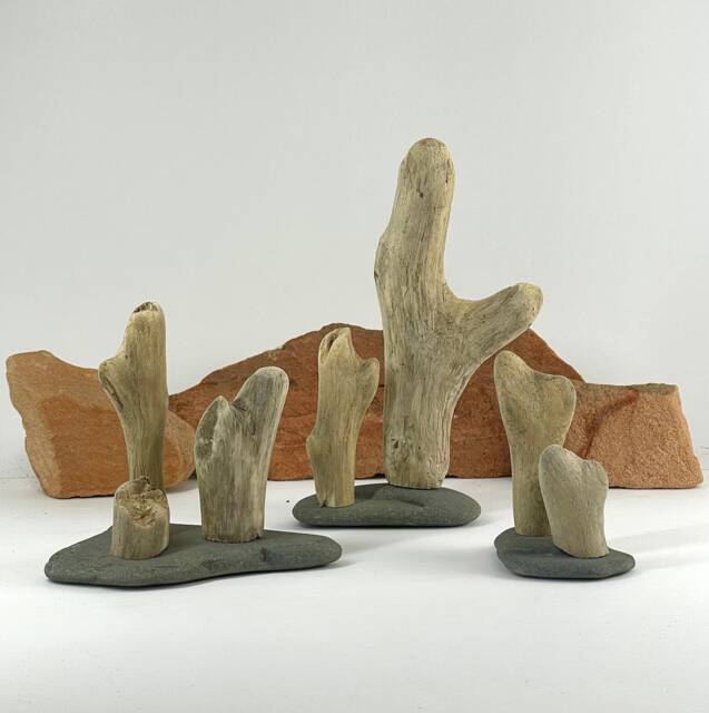"Driftwood Sculpture ""Desert Dreaming" - image 1