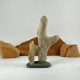 "Driftwood Sculpture ""Desert Dreaming" - thumbnail 2