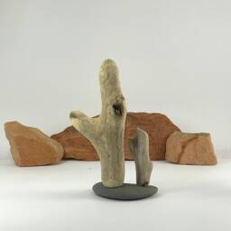 "Driftwood Sculpture ""Desert Dreaming" - thumbnail 3