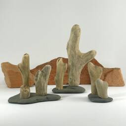 "Driftwood Sculpture ""Desert Dreaming" - thumbnail 1