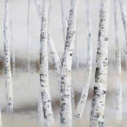 Birch Forest Wallpaper, Trunk Texture, Removable Wall Mural - thumbnail 3