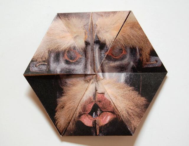 Transformation Mask, Northwest Coast Canada, A Hexaflexagon Paper Sculpture - 2015, Item No. 184 - image 1