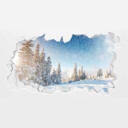 Nature Wall Sticker - Snowy Trees in Winter Broken Decal Home Decor Art - thumbnail 3