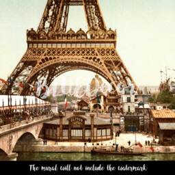 Eiffel Tower Removable Wallpaper, Wall Mural, France, Big City, Covering, Peel & Stick, Self Adhesive, Repositionable #91 - thumbnail 3