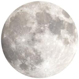 Full Moon Wall Sticker Decal - Illustration Stickers, Animals Decals, Home Decor, Art, Illustrations - thumbnail 2